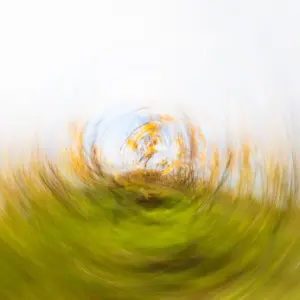 alles dreht sich um Wein MRK 9693