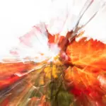 Weinberge in Herbstrot, ICM-Fotografie, Serie Rheinhessen jenseits des Offensichtlichen von Marion Rockstroh-Kruft