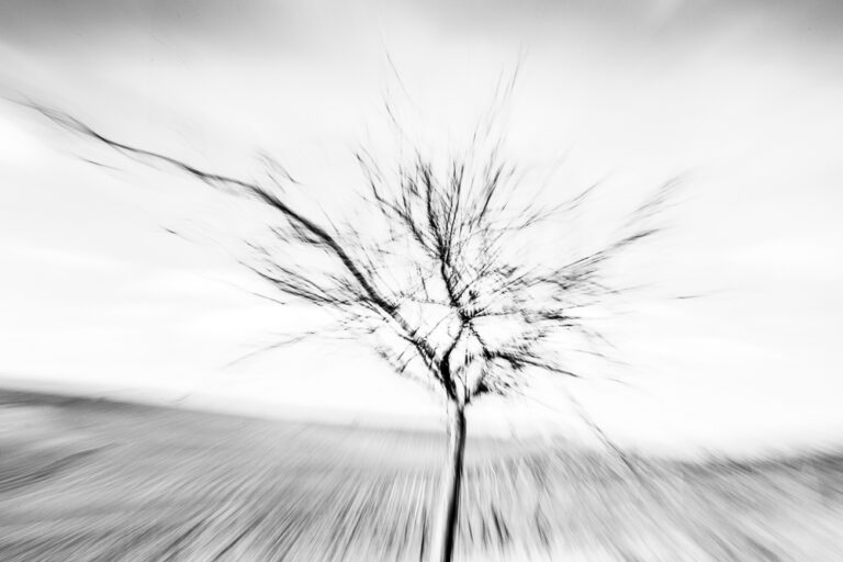 02 MRK 0883
