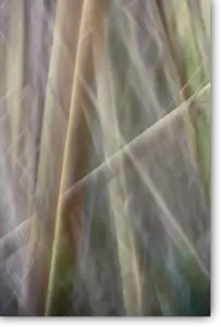 Overlapping vertical lines in yellow, green and grey – ICM Photography: Between Light and Silence by Marion Rockstroh-Kruft