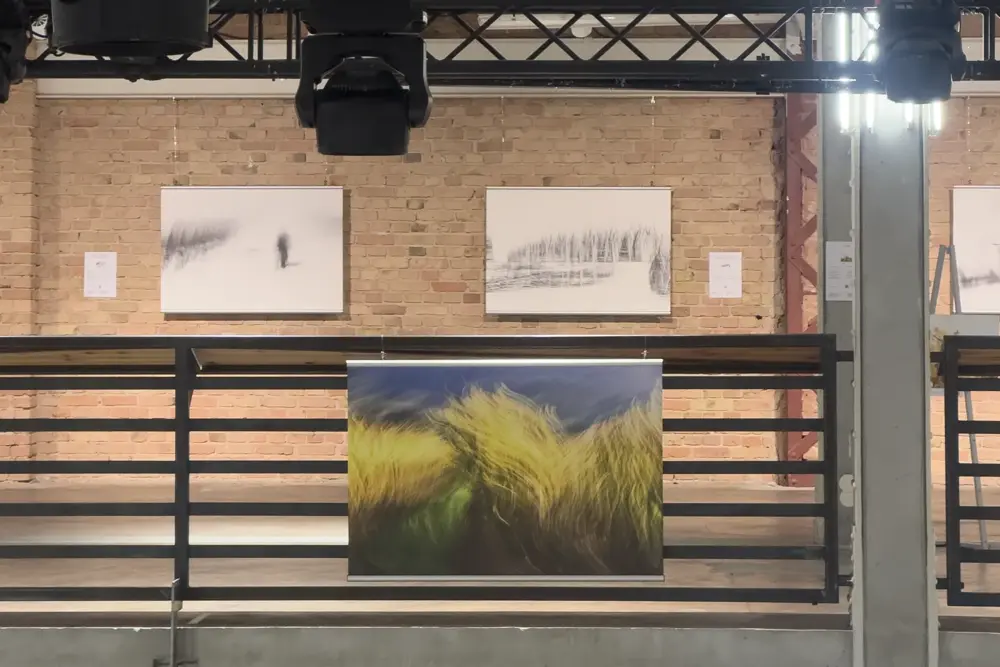 Kunst und Weinbau: Eine Begegnung im Berliner Kühlhaus 2 mrk kunst weinbau piwi summit berlin ausstellung schiene 0905