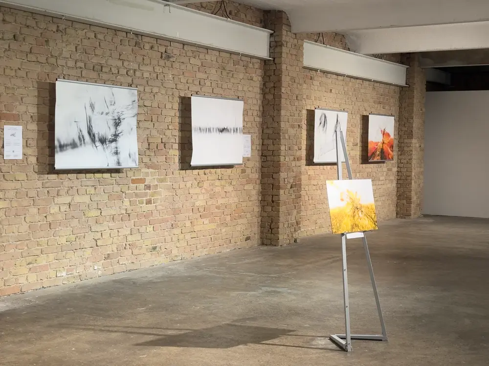 Kunst und Weinbau: Eine Begegnung im Berliner Kühlhaus 3 Gesamtansicht der Ausstellung Vision of Vine – Winds of Change beim PIWI Summit Berlin: abstrakte ICM-Fotografie trifft pilzwiderstandsfähige Rebsorten, Kunst und Weinbau im Dialog