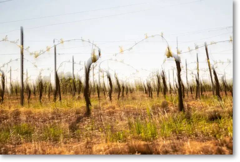 Serie1 Rheinhessen jenseits offensichtlichem MRK Photography 0613