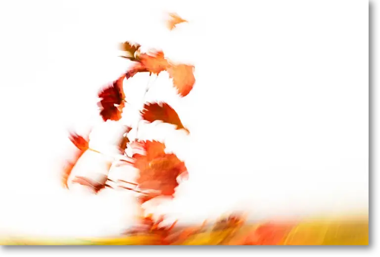 Serie1 Rheinhessen jenseits offensichtlichem MRK Photography 9517