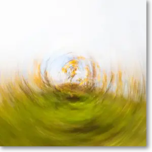 Kreisförmige Farbkomposition Rebstock Herbst – ICM Fotografie Rheinhessen jenseits des Offensichtlichen von Marion Rockstroh-Kruft