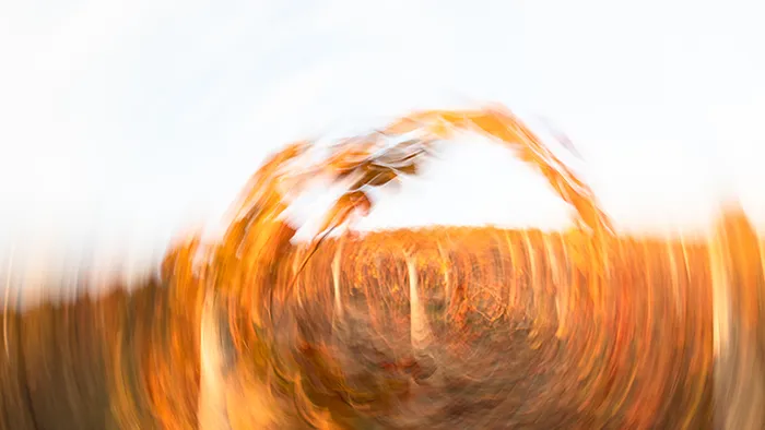 Herbstranken als natürlicher Torbogen Weinberg – ICM Fotografie Rheinhessen jenseits des Offensichtlichen von Marion Rockstroh-Kruft