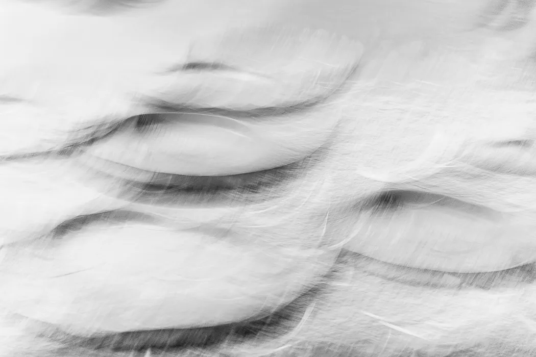 Water lily leaves in the Kolkata Botanical Garden sway like half-open eyes – ICM Photography Kolkata: Veil of Light by Marion Rockstroh-Kruft