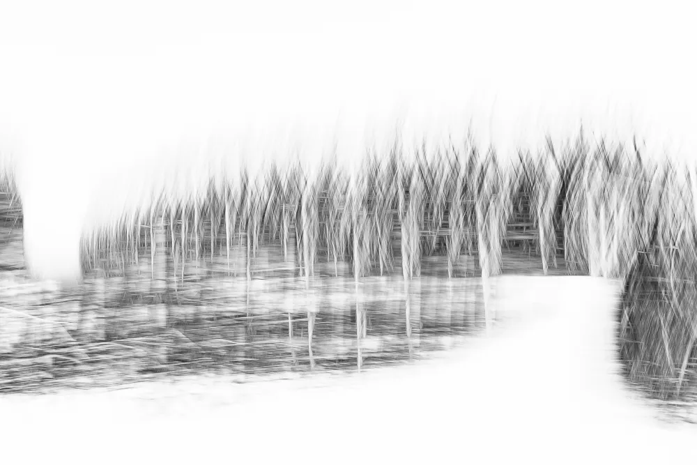 240127 ZH Weinberge MRK 2294 2ME