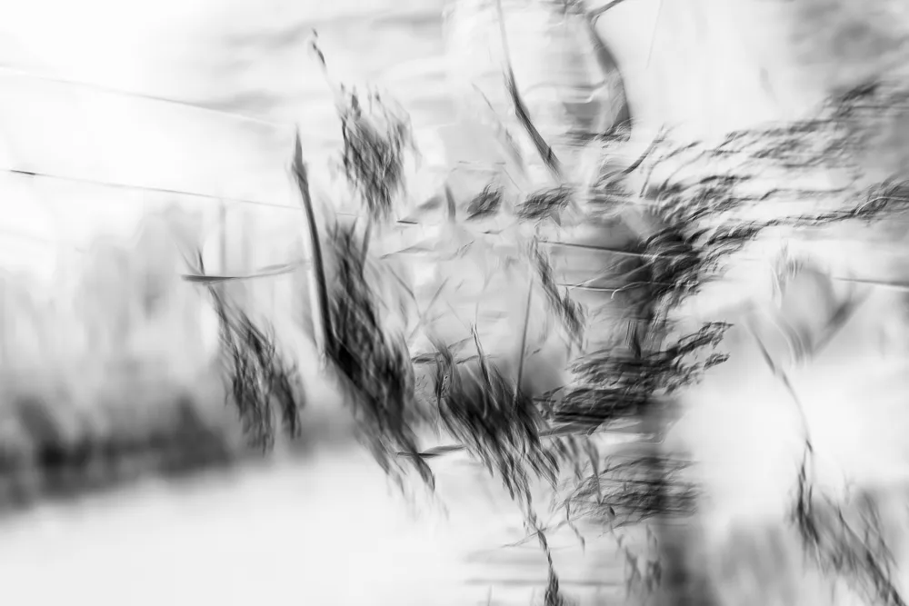 240127 ZH Weinberge MRK 2453 2ME Bearbeitet