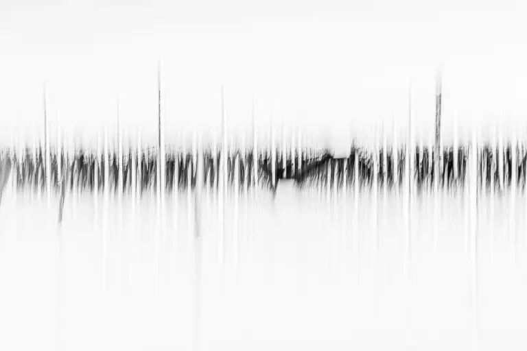 Lebenslinien – Weinvision Zeichen des Wandels, abstrakte Schwarz-Weiß-Fotografie Weinberg ICM, Marion Rockstroh-Kruft