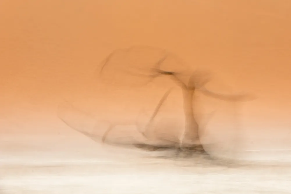 241012 Namib MRK 6842