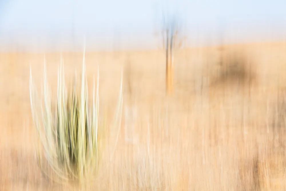 241014 Swakopmund hot air ballon MRK 8208