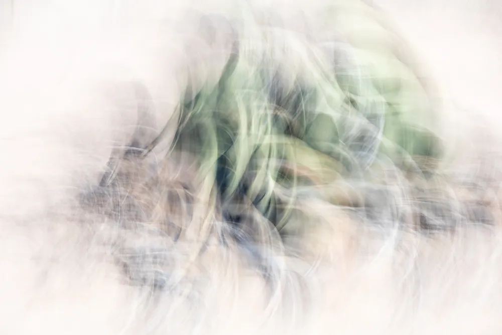 241015 Walvis Bay Boot Welwitschia Moonmountain MRK 8842