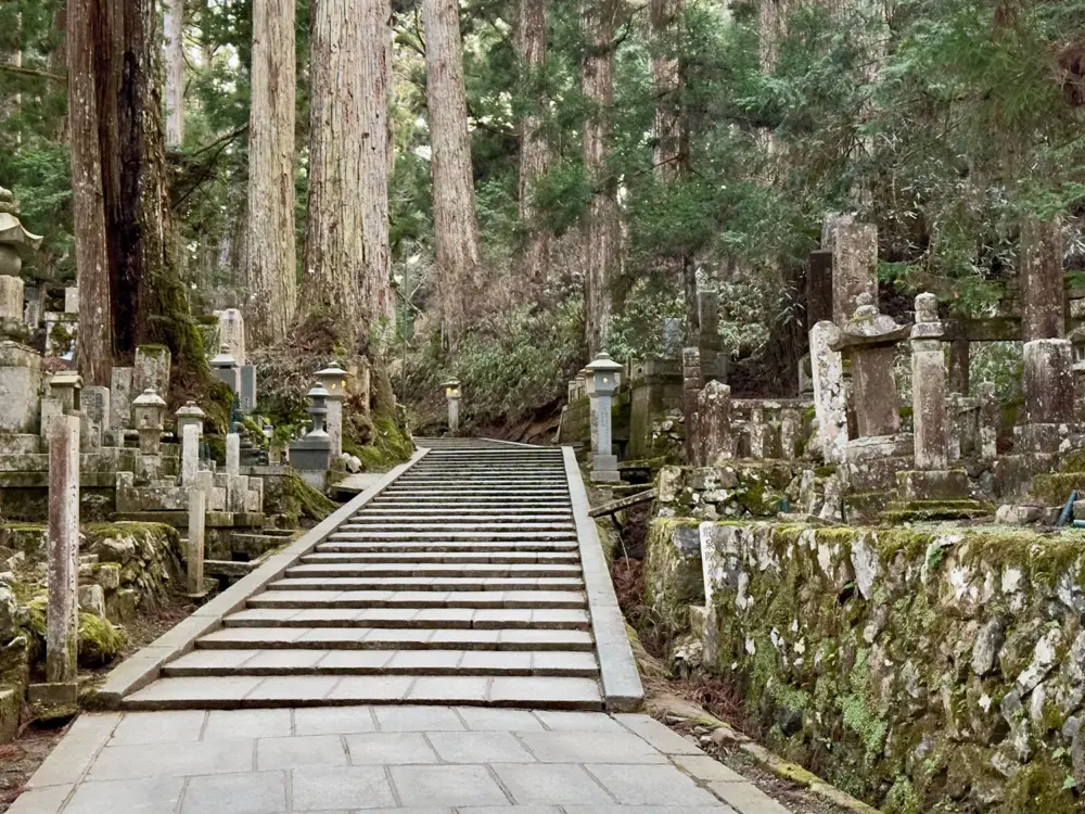 Shikoku Pilgerreise und Fotografie: 950 Kilometer, 88 Tempel, ein Buch 5 Steintreppe im Okunoin Friedhof Koyasan, gesäumt von jahrhundertealten Zedern und moosbewachsenen Grabsteinen