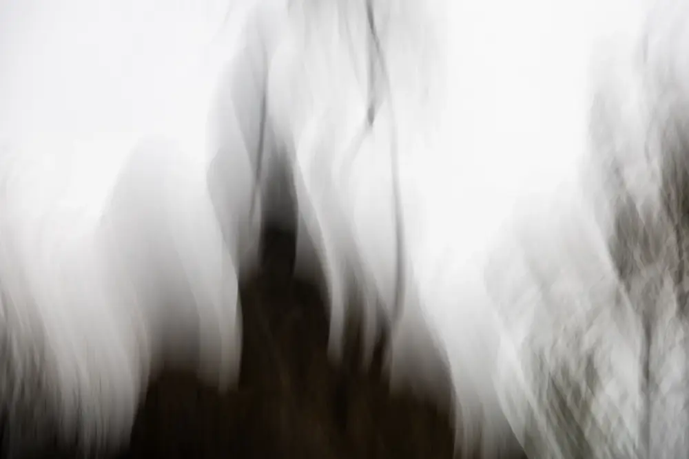 Shikoku Pilgerreise und Fotografie: 950 Kilometer, 88 Tempel, ein Buch 1 Abstrakte ICM-Fotografie von Bäumen auf der Shikoku Pilgerreise, Marion Rockstroh-Kruft