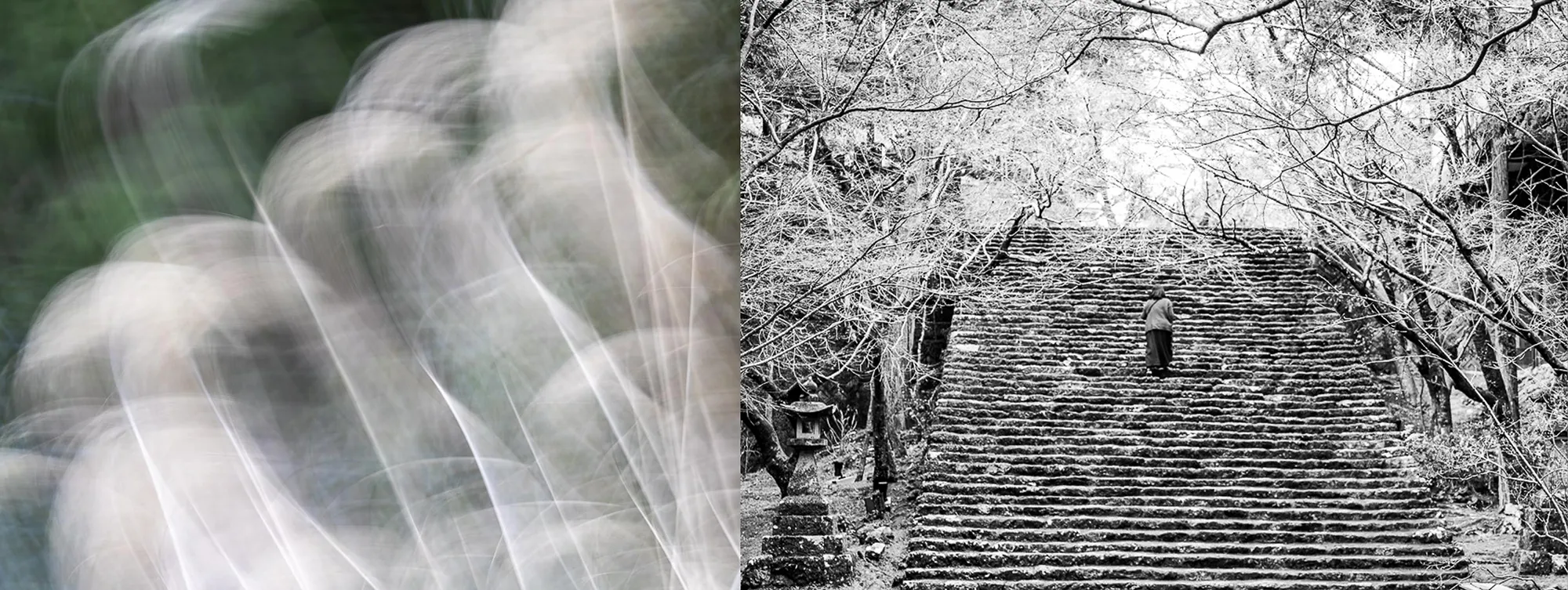 Diptych 'Threshold' – Shikoku: Fragmented Worlds, ICM and black-and-white photography by Marion Rockstroh-Kruft