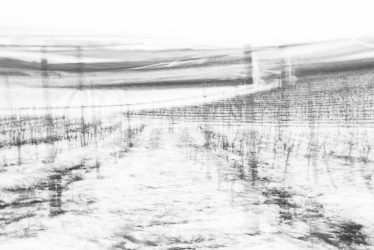 Abstrakte Schwarz-Weiß-Rebzeilen unter Schnee mit horizontaler ICM-Bewegung – Metamorphosen der Stille von Marion Rockstroh-Kruft