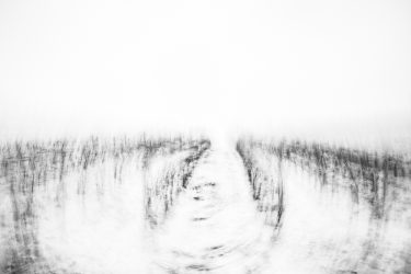 06-190130-ZH-Weinberge-Schnee-MRK_9228