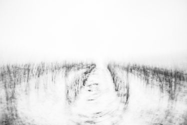 Rebzeilen in konzentrischen Linien durch kreisförmige ICM-Bewegung – Metamorphosen der Stille von Marion Rockstroh-Kruft