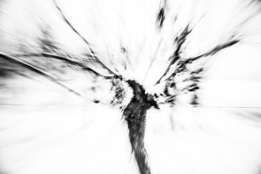 07-20181216-Zornheim-Weinberg-MRK_8018