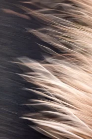 Single image: Am Rand At the Edge – Shikoku: Fragmented  Worlds, ICM photography by Marion Rockstroh-Kruft