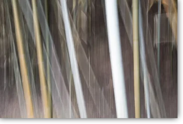 Fließende grüne Linien im Bambuswald – ICM Fotografie Zwischen Licht und Stille von Marion Rockstroh-Kruft