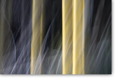 Abstrakte ICM Fotografie Zwischen Licht und Stille – rhythmische Linien im Bambuswald, Shikoku Japan, von Marion Rockstroh-Kruft