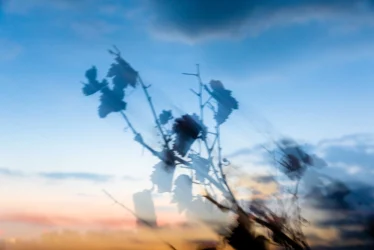 Rebranke Dämmerungslicht November blau – ICM Fotografie Rheinhessen jenseits des Offensichtlichen von Marion Rockstroh-Kruft