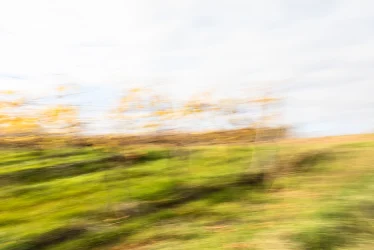 Verblassende Herbstreben Zornheimer Weinpavillon – ICM Fotografie Rheinhessen jenseits des Offensichtlichen von Marion Rockstroh-Kruft