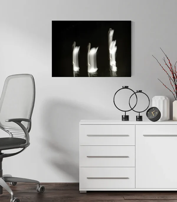 kunst-fuer-buero-schwarzweiss-abstrakt-schwan